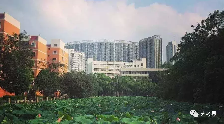 10所超低分数线211名校，艺考生千万记住哦