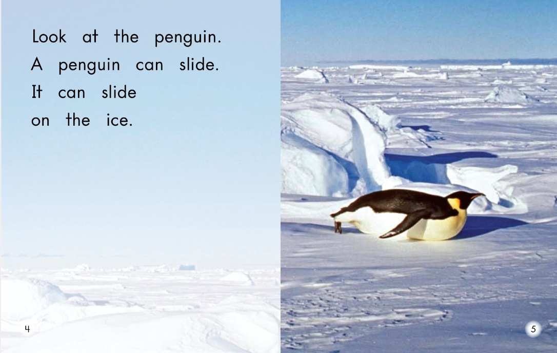 企鹅英语怎么读(英语有声绘本阅读)