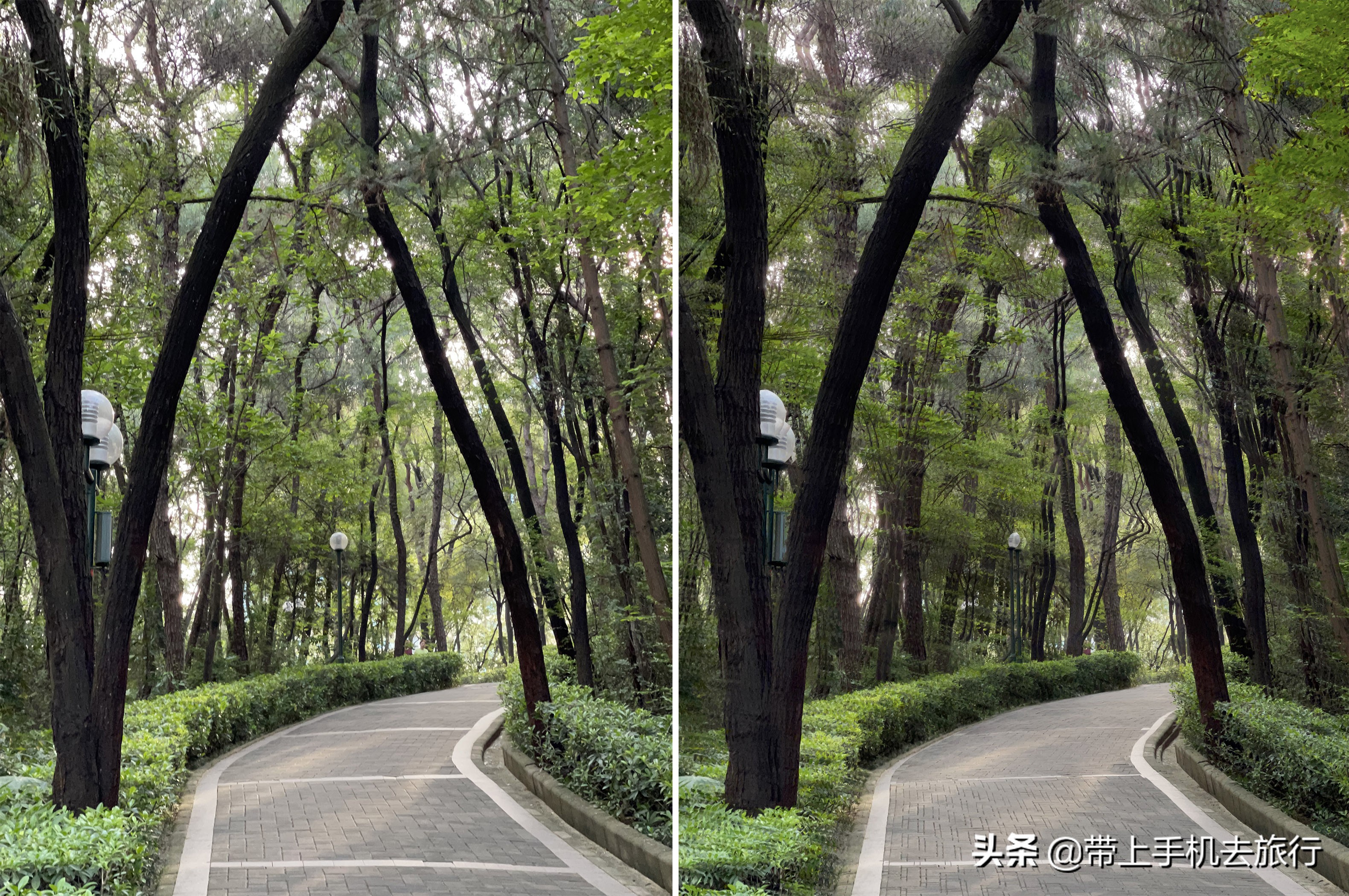 连拍+Snapseed，普通场景即可轻松拍摄画意大片