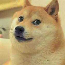 【法规速递】《北京市生活垃圾管理条例》从“五一”实施 单位违反最高罚50000元！ 个人违反最高罚200元！