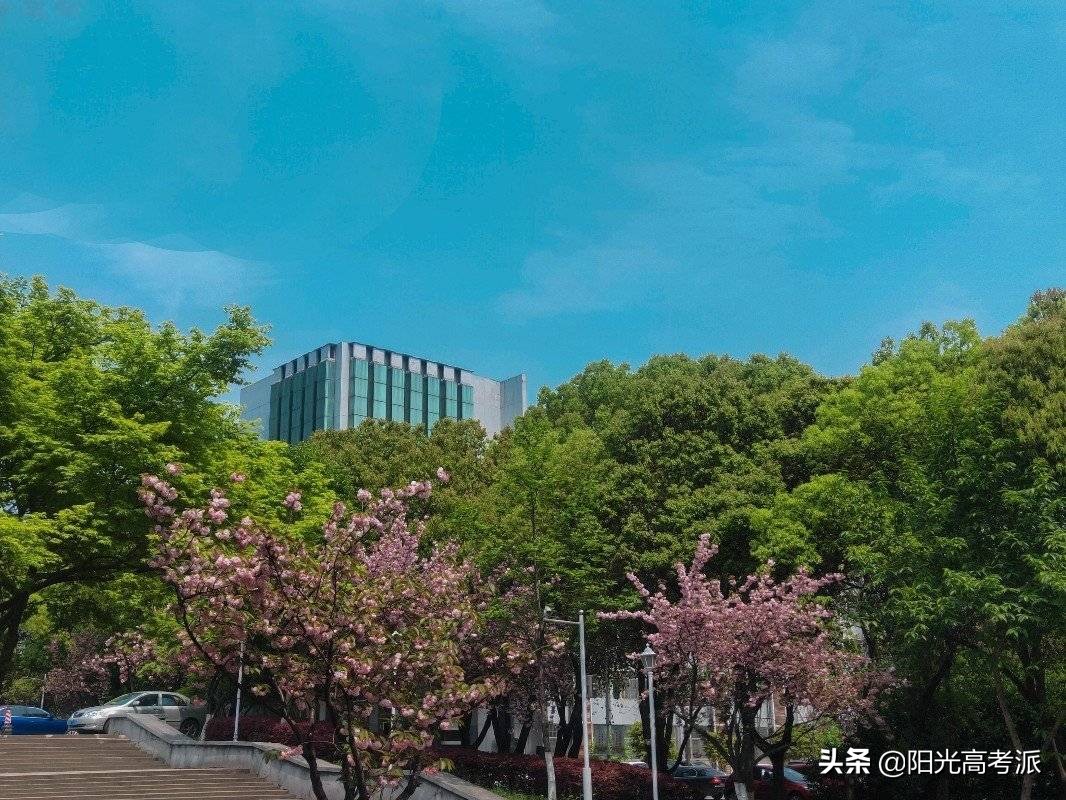 江苏大学、扬州大学实力对比：一眼便知谁更强