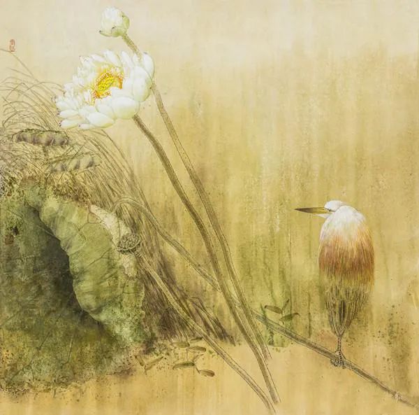 独特的艺术风格，寂静而俊丽