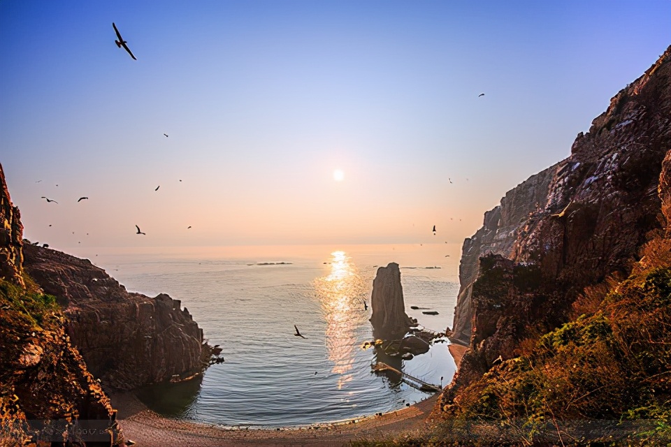 海驢島