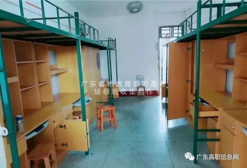 「公办本科」嘉应学院｜广东3+证书院校介绍