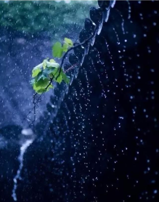 「诗词鉴赏」在夏日中听雨，唯美一段又一段的时光