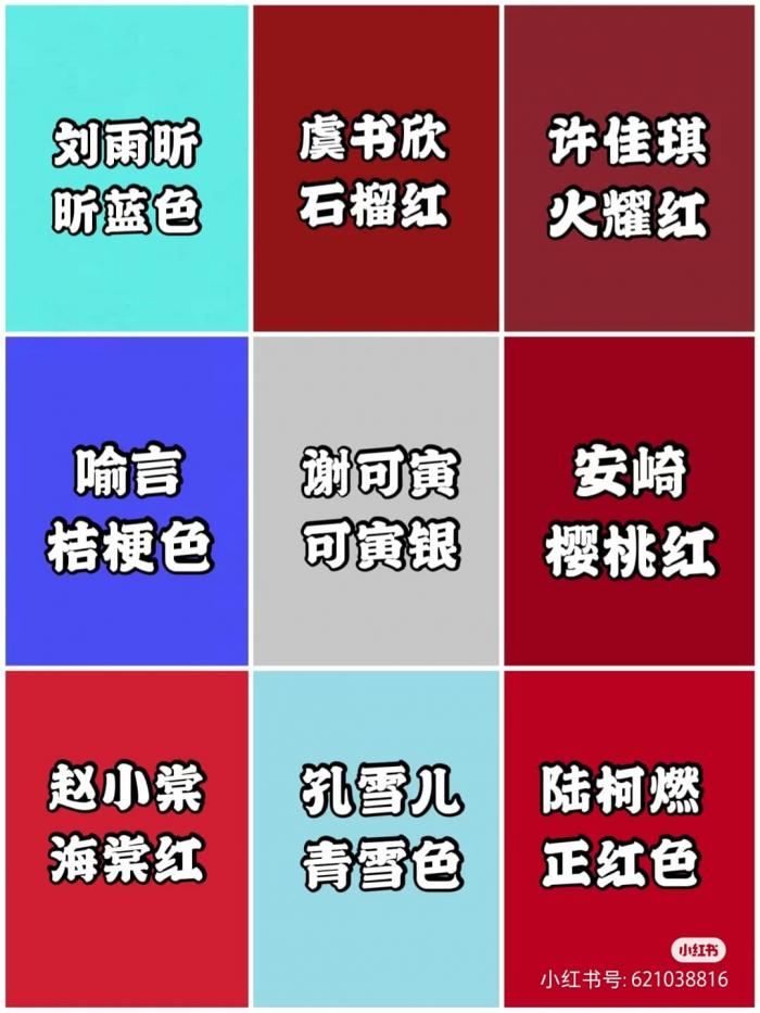 九人团「the 9」各家粉丝昵称,应援色,应援口号,你的漂亮小姐姐