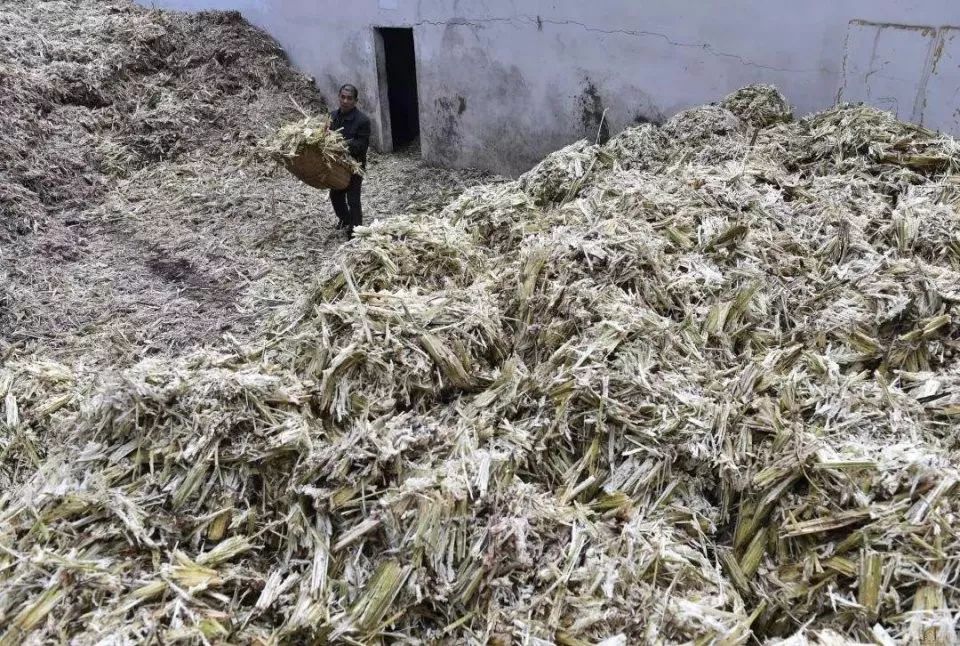 泥巴、果皮都能赚钱？5个不起眼项目背后的1个亿商机
