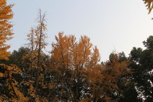 苏州大学2018年部分省市各专业录取分数