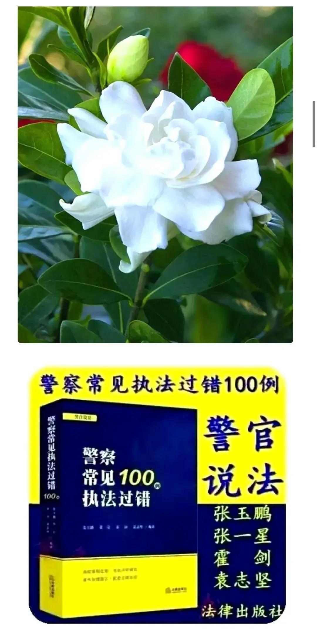 治安管理处罚的程序适用什么的规定,治安管理处罚的程序适用治安管理处罚法的规定