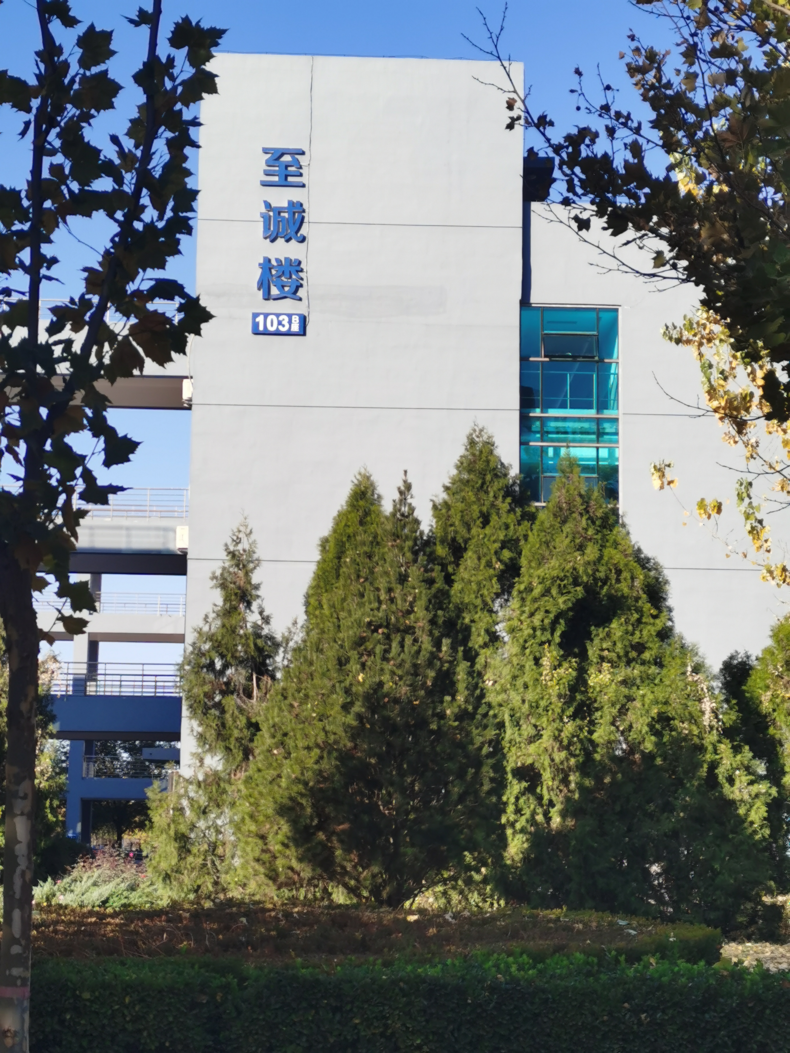 初冬的唐山职业技术学院兴盛可期