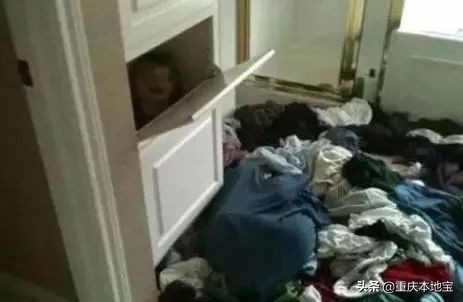 2019-2020年重庆中小学校历出炉！今年寒假的放假时间是......