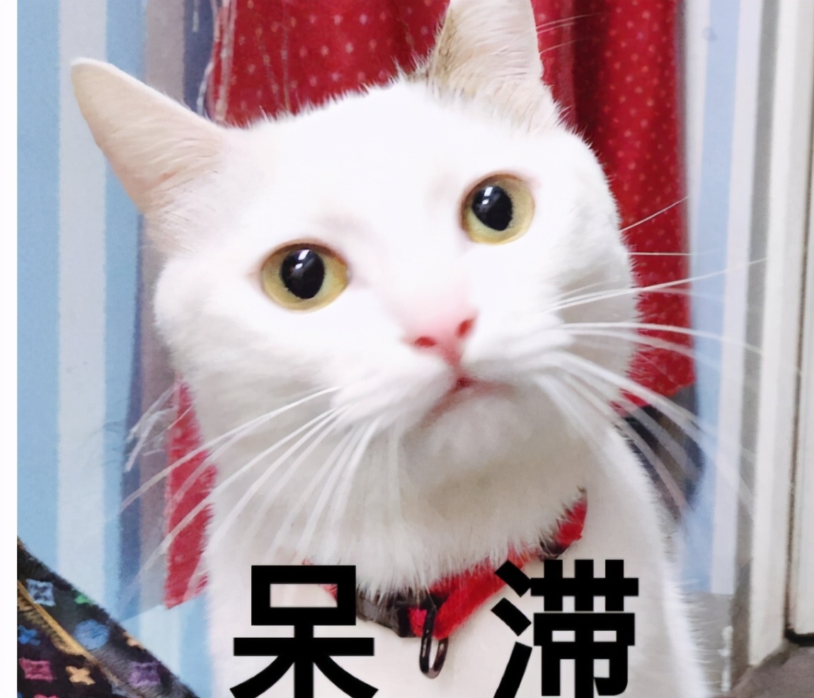 抗老护肤成分对比分析：维A酸、多肽、VC和玻色因，谁最有效？