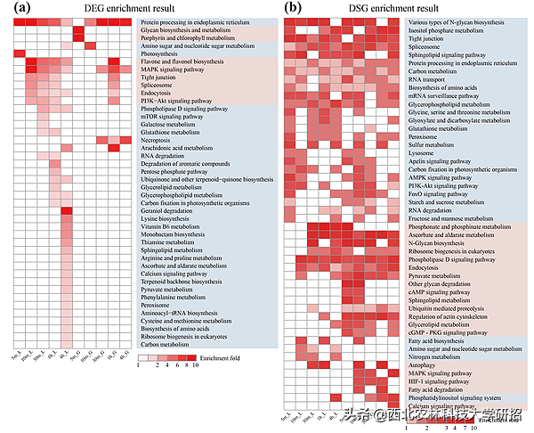新进展！近期，西北农林科技大学9项科研成果登上国际权威期刊