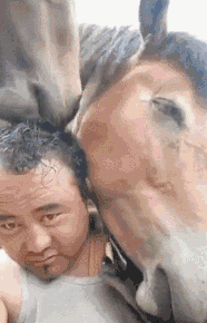 搞笑gif图:小伙子,你这样吃面,容易挨揍