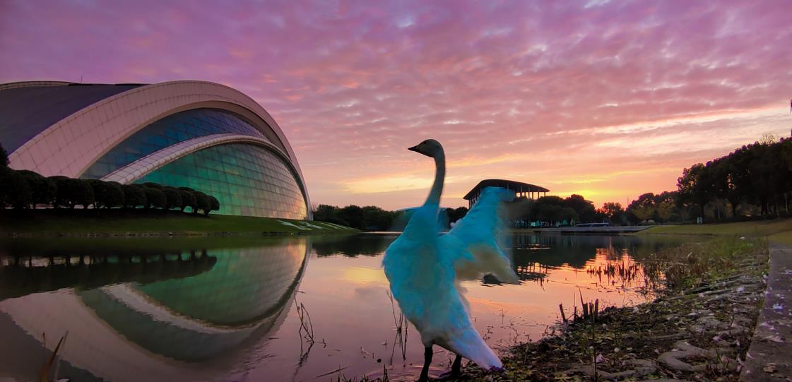 四川电影电视学院招生简章（民办艺术类院校的这些专业）