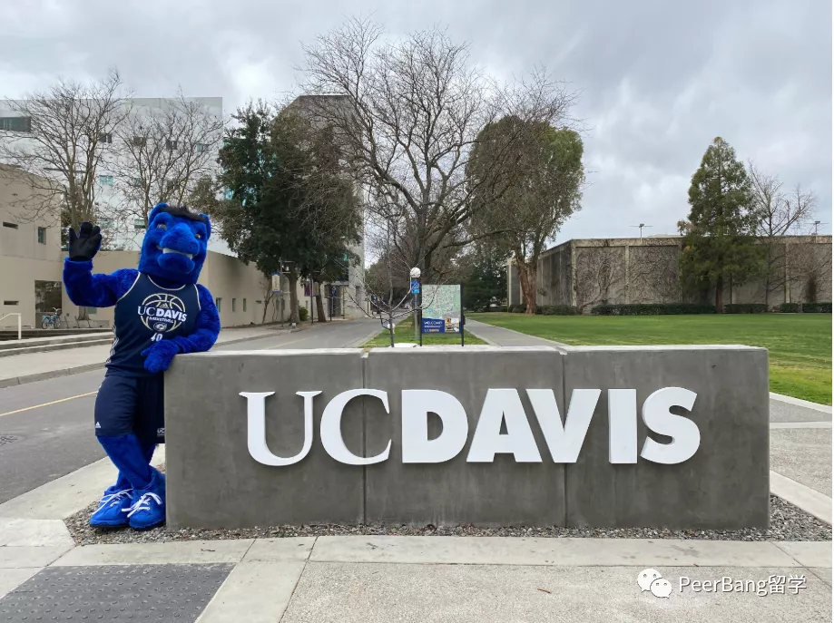 美国前40里，录取率最友好的UC大学是哪所？