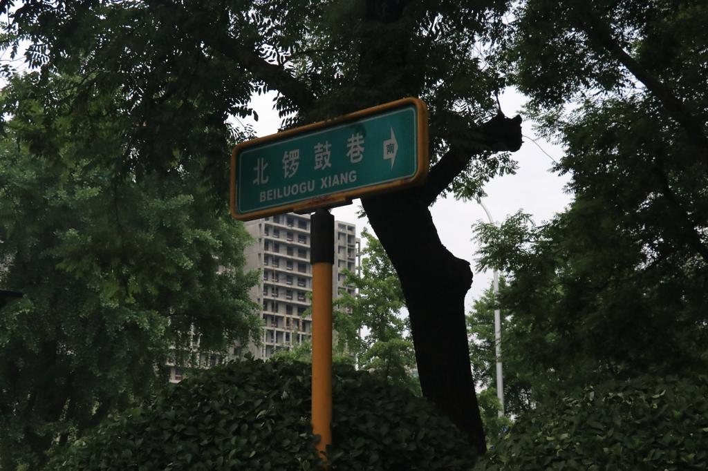别只知道南锣鼓巷，这些“京味儿”十足的胡同更值得逛~