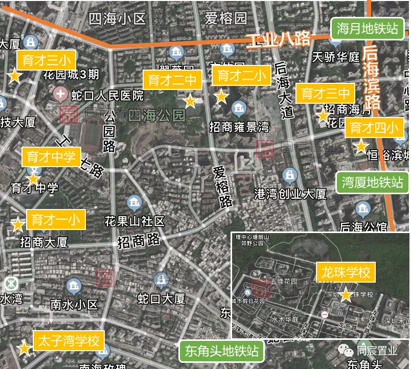 南山优质老牌名校 带你走近蛇口育才教育集团（上）