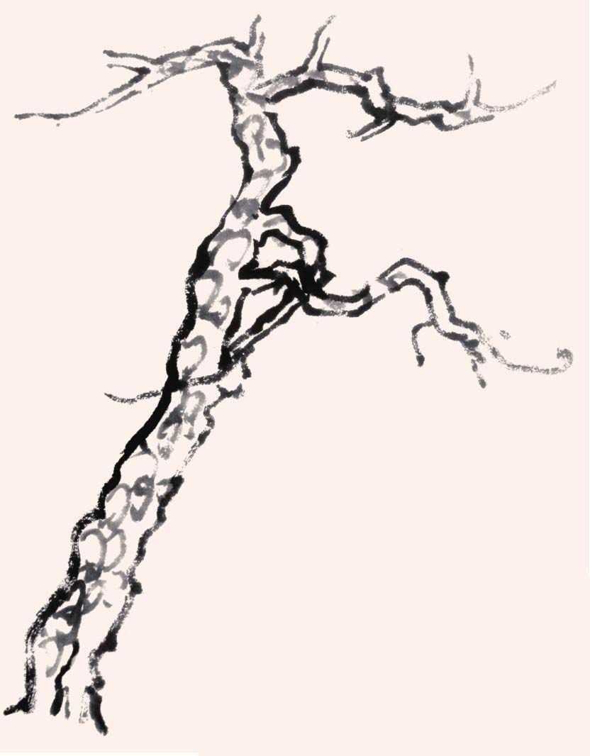 零基础国画教程:分步骤图解教你画3种常见树画法,简单易学