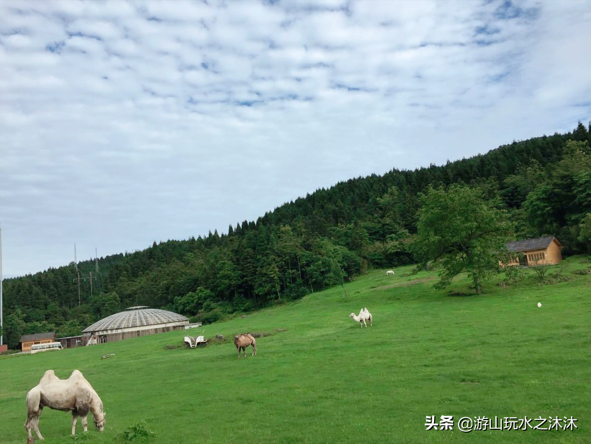 重庆周边12个小众自驾旅游攻略，人少景色超美，拍照好看