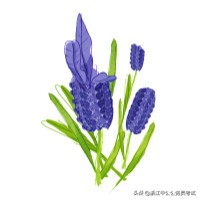 事业单位考哪些科目？怎么考？和公务员考试有区别吗？