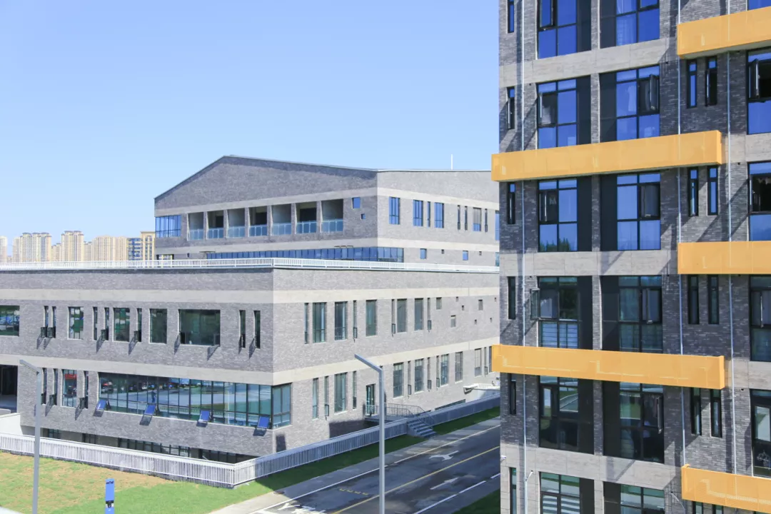 这2所美术学院在2021年相继启用新校区，招生人数将会大幅度提升