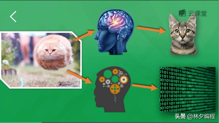 「Python人工智能」 一.神经网络入门及theano基础代码讲解