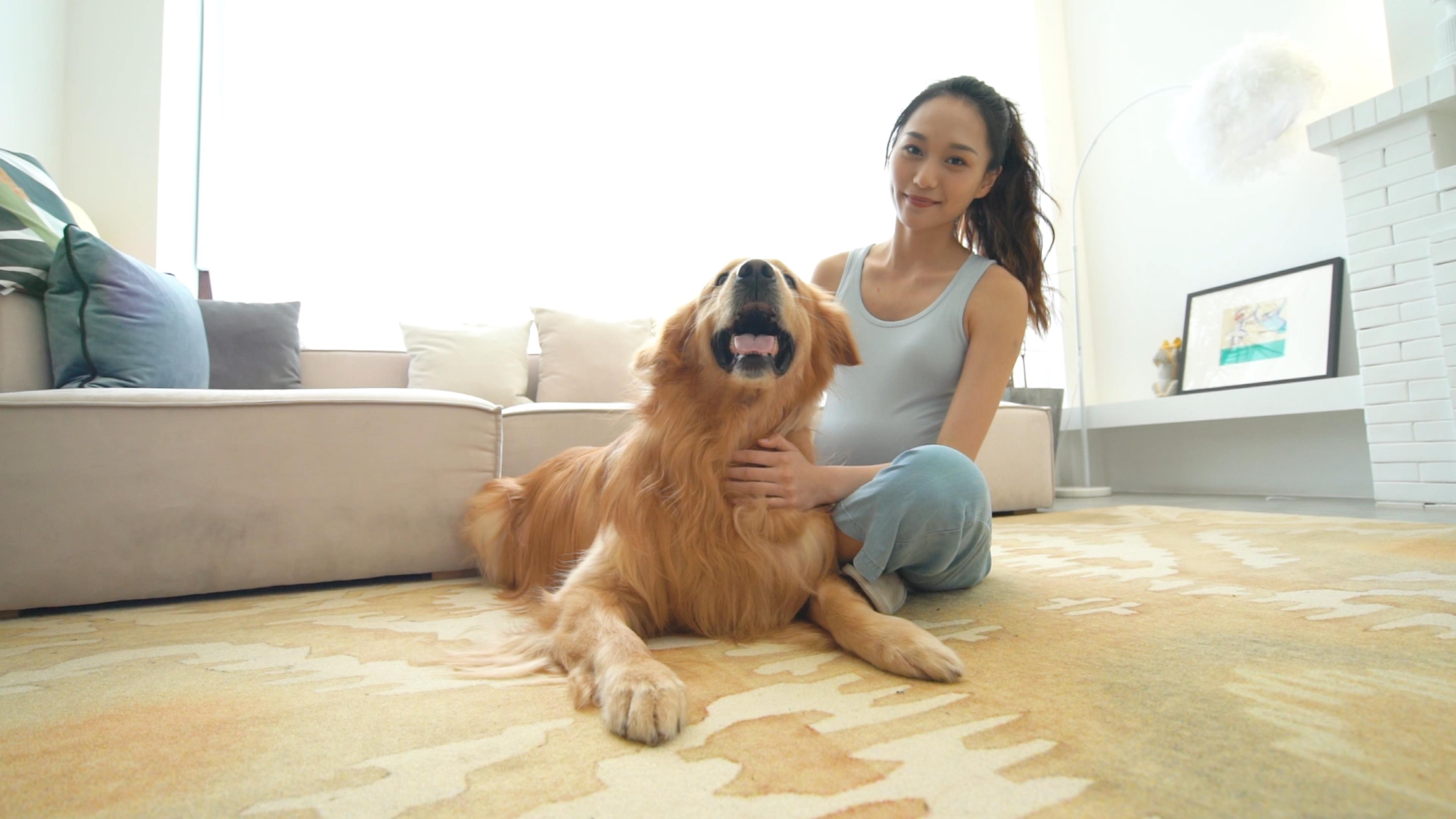 性格最好的六种狗，最适合“撸狗”了