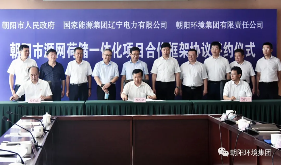 辽宁国能集团,辽宁国能集团(控股)股份有限公司