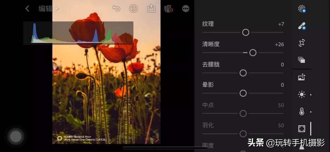 拍花后期！调色用对了，就很有春天的感觉