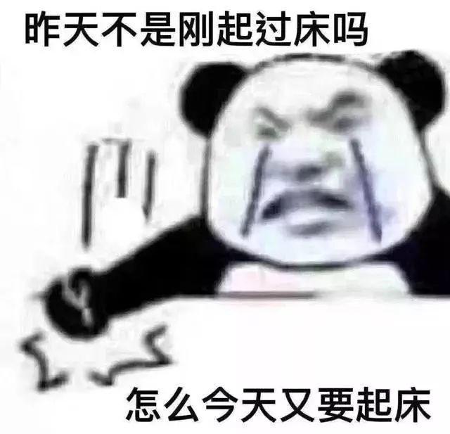 熊猫头表情包合集｜花钱的活动不要叫我