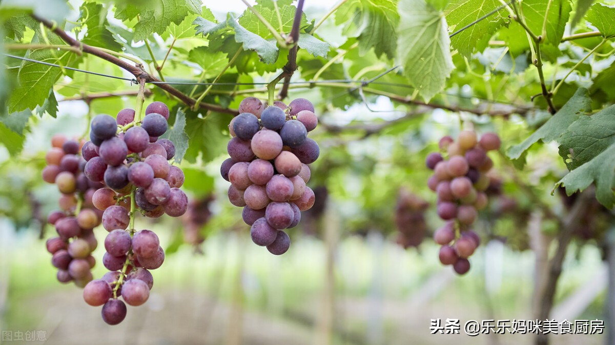 香蕉含糖量高吗（6种常见水果含糖量大排名）