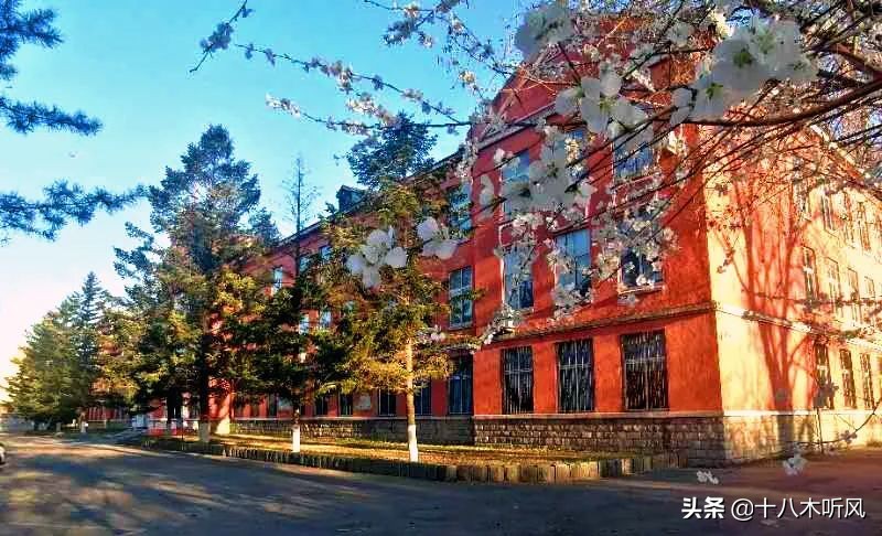 读大学做到这几点，大学时光将会成为你最美的青春记忆