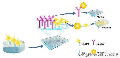 新进展！近期，西北农林科技大学9项科研成果登上国际权威期刊