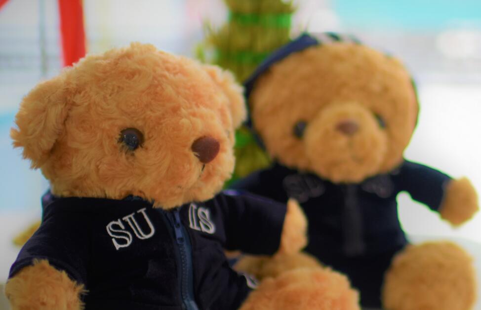 孩子就读协和双语的我，得知学校即将“民转公”后，我哭了