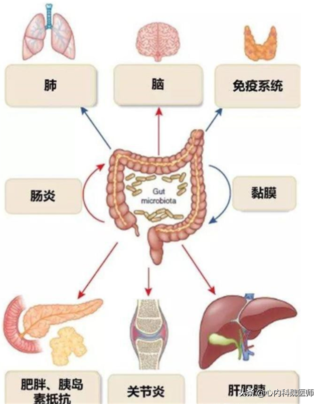 国产降压新药：阿利沙坦酯，保护心肾还能降尿酸，几乎不影响肝肾