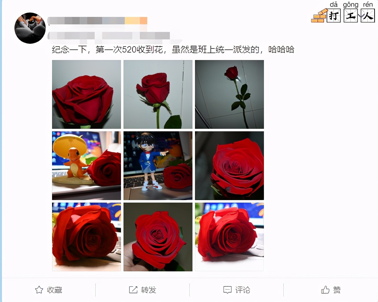 留言精选 | 爱对了人，每天都是520