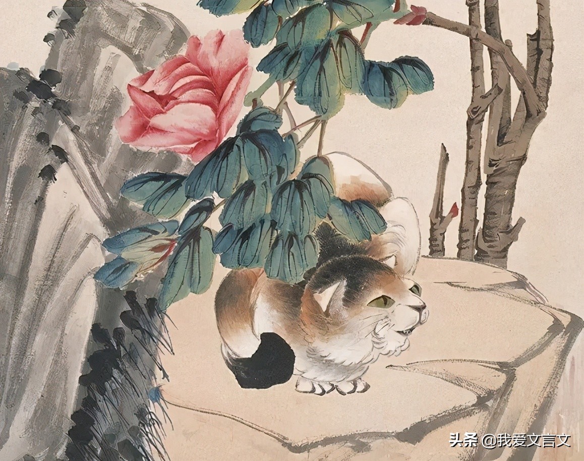 经典文言文赏析 | 正午牡丹