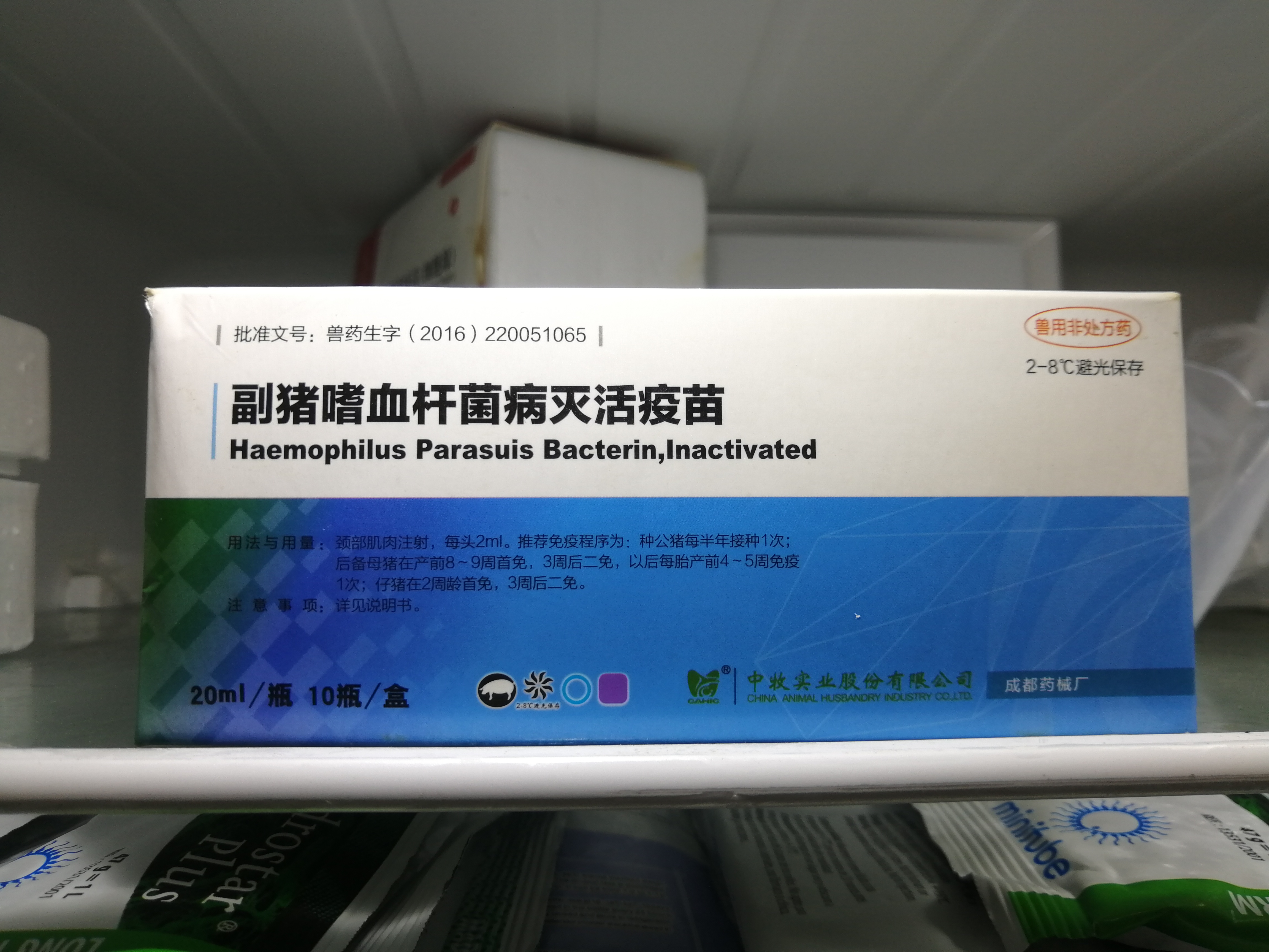 如何设计猪场免疫程序表？附免疫程序示范表，图文并茂干货满满