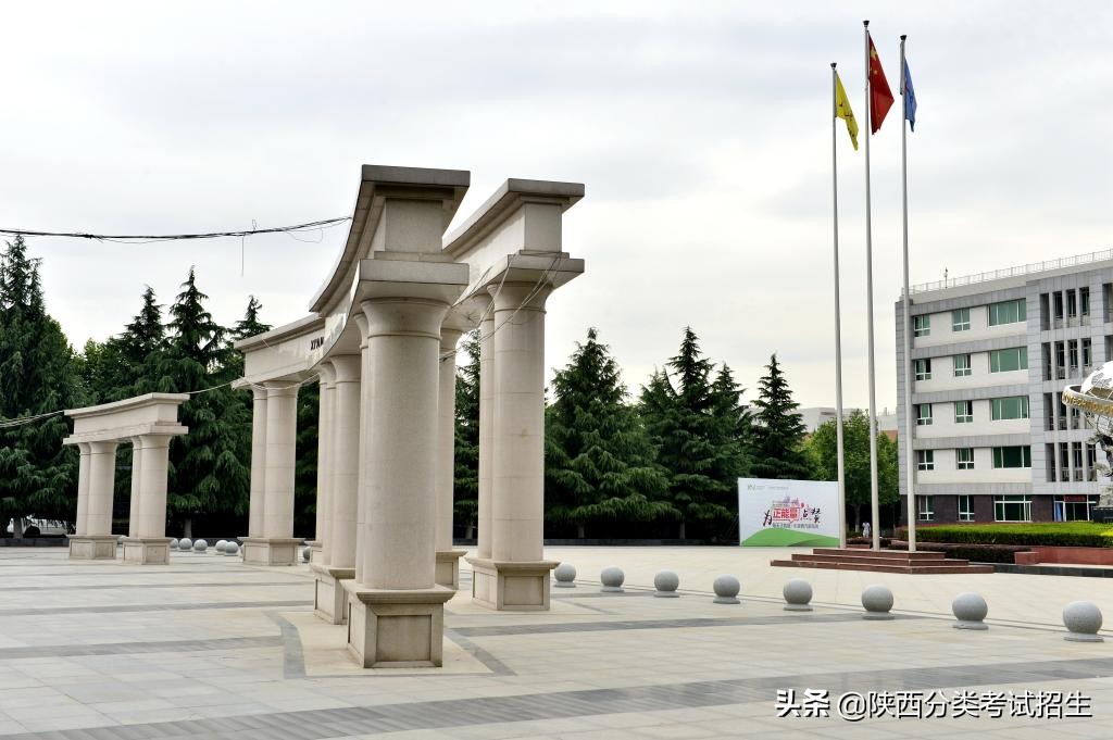 陕西艺术职业学院2020年分类考试招生章程