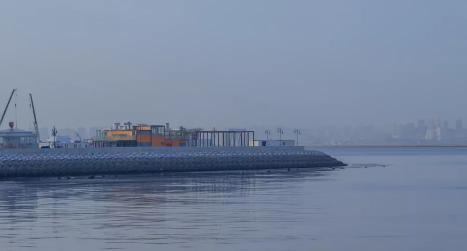 岁月流转，友情常新：永不散场的时光之谊