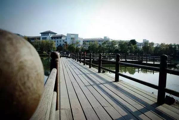 择校篇 | 法硕考研备考锦囊之浙江农林大学