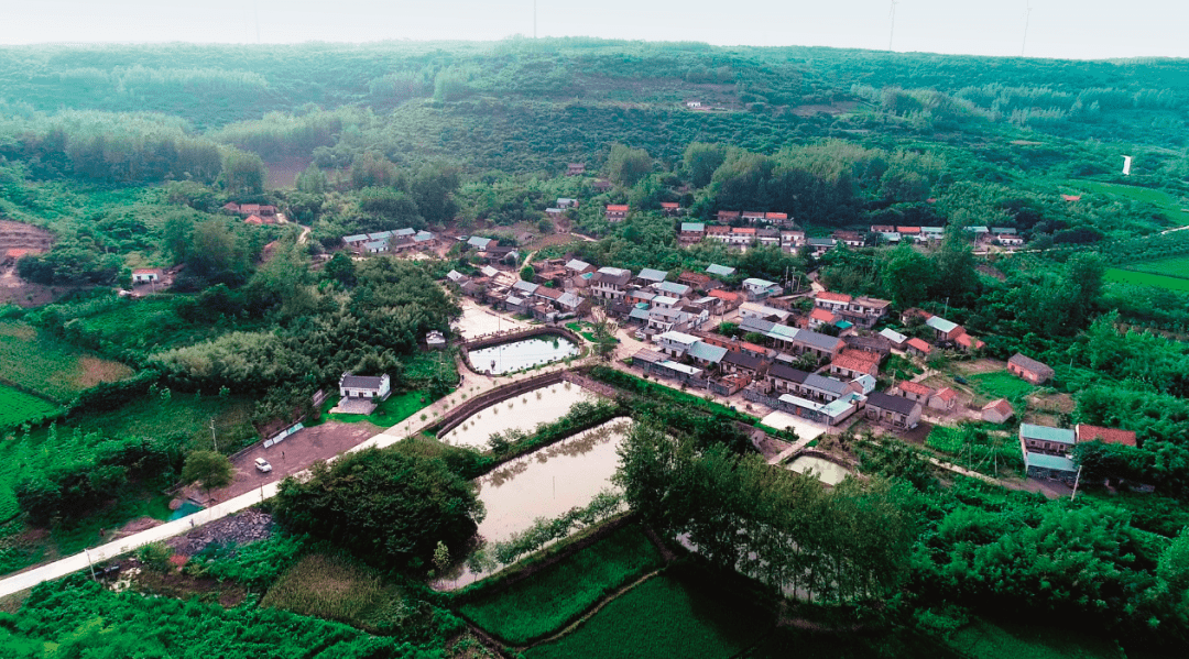 明明是经管类专业，却常被误认为农学专业，农业经济管理类的悲哀