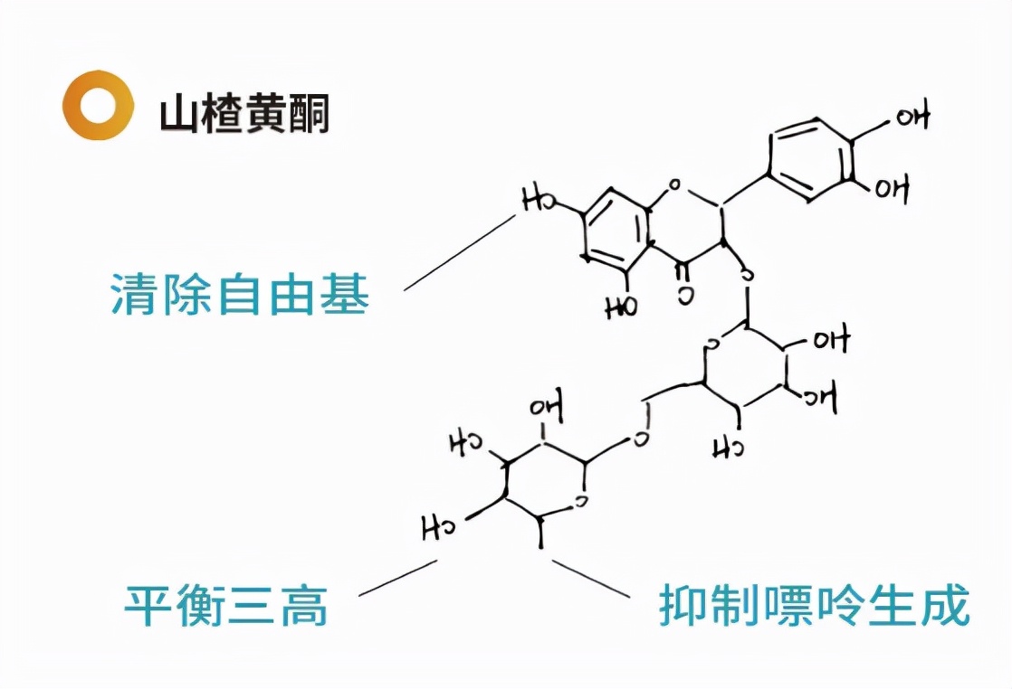 透过圣八礼，我们都能喝到什么