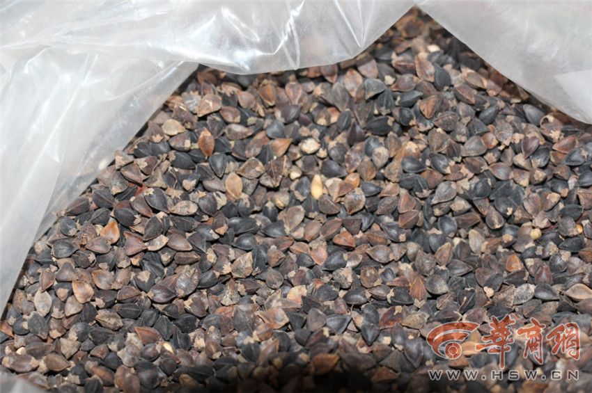 渭南非遗的故事 南七荞面饸饹 味道鲜美 好吃不贵