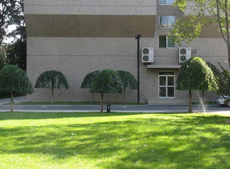 鲁迅美术学院2021年设计类专业合格，文化成绩420分能被录取吗？