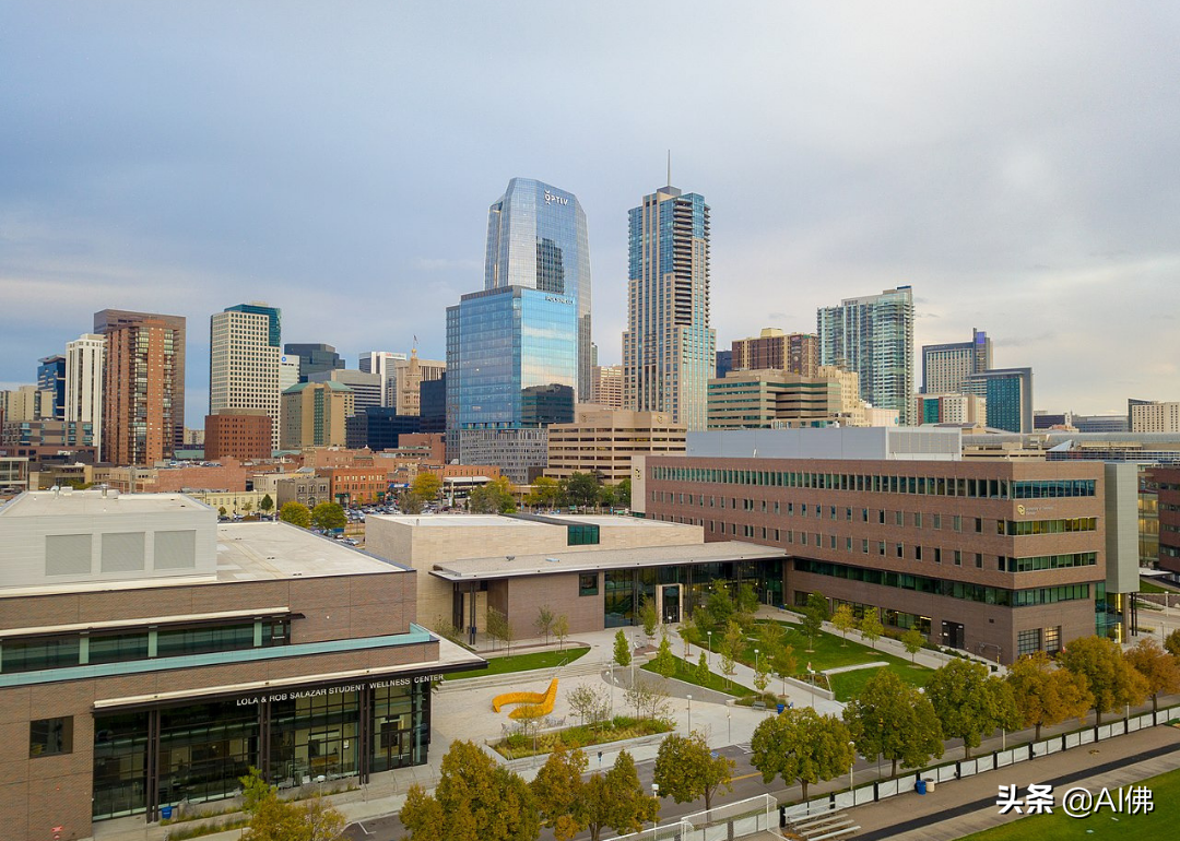 美国最自由的公立大学