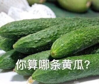 解气又可爱的怼人表情包