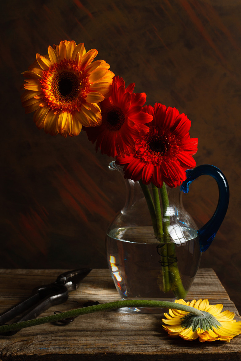 跟着高考状元学五步学习法，再也不用操心孩子的学习