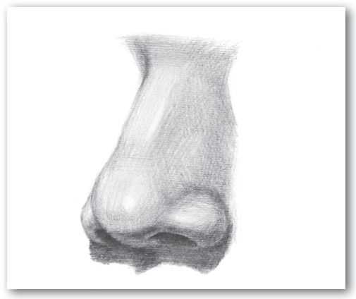 素描头像中鼻子的绘制技巧与方法